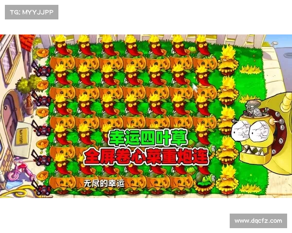 植物大战僵尸单机版:全屏打字挑战 植物大战僵尸单机版:全屏打字挑战